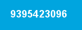 9395423096