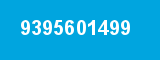 9395601499