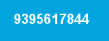 9395617844