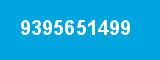 9395651499