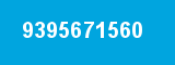 9395671560