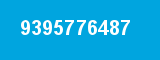 9395776487