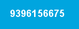 9396156675