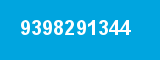 9398291344