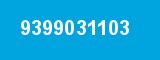 9399031103