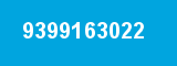 9399163022
