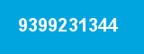 9399231344