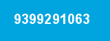 9399291063