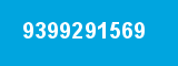 9399291569