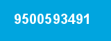 9500593491