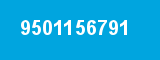 9501156791 9501156791