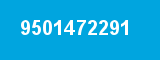9501472291