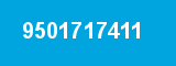 9501717411