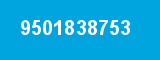 9501838753