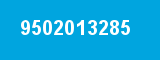 9502013285