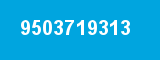9503719313