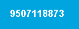 9507118873