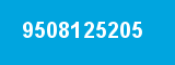 9508125205 9508125205