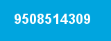 9508514309