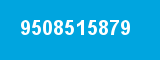 9508515879