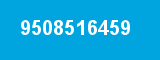 9508516459