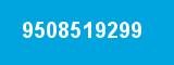 9508519299
