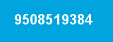 9508519384