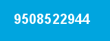 9508522944