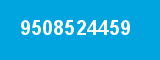 9508524459 9508524459