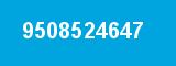 9508524647