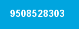 9508528303