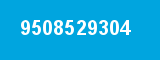 9508529304