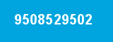 9508529502 9508529502