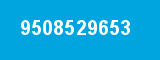 9508529653