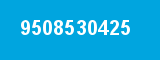 9508530425