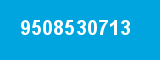 9508530713