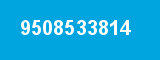 9508533814 9508533814