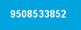 9508533852