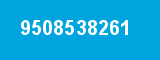 9508538261