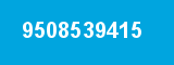 9508539415