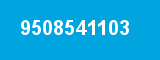 9508541103 9508541103