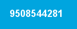 9508544281 9508544281