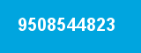 9508544823