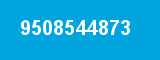 9508544873