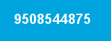 9508544875