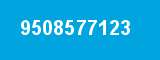 9508577123