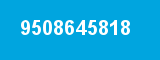 9508645818 9508645818