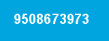 9508673973