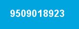 9509018923 9509018923