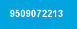 9509072213 9509072213